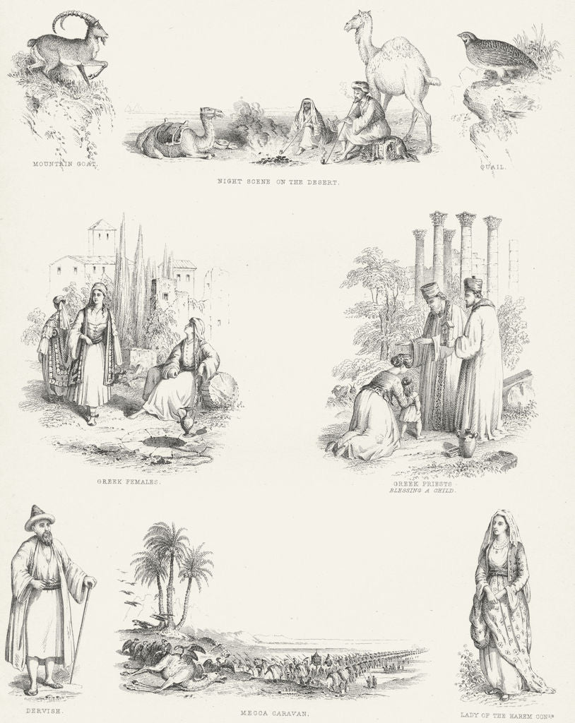 BALKANS. Greeks; Dervish; Mecca Caravan; Harem Conle c1849 old antique print